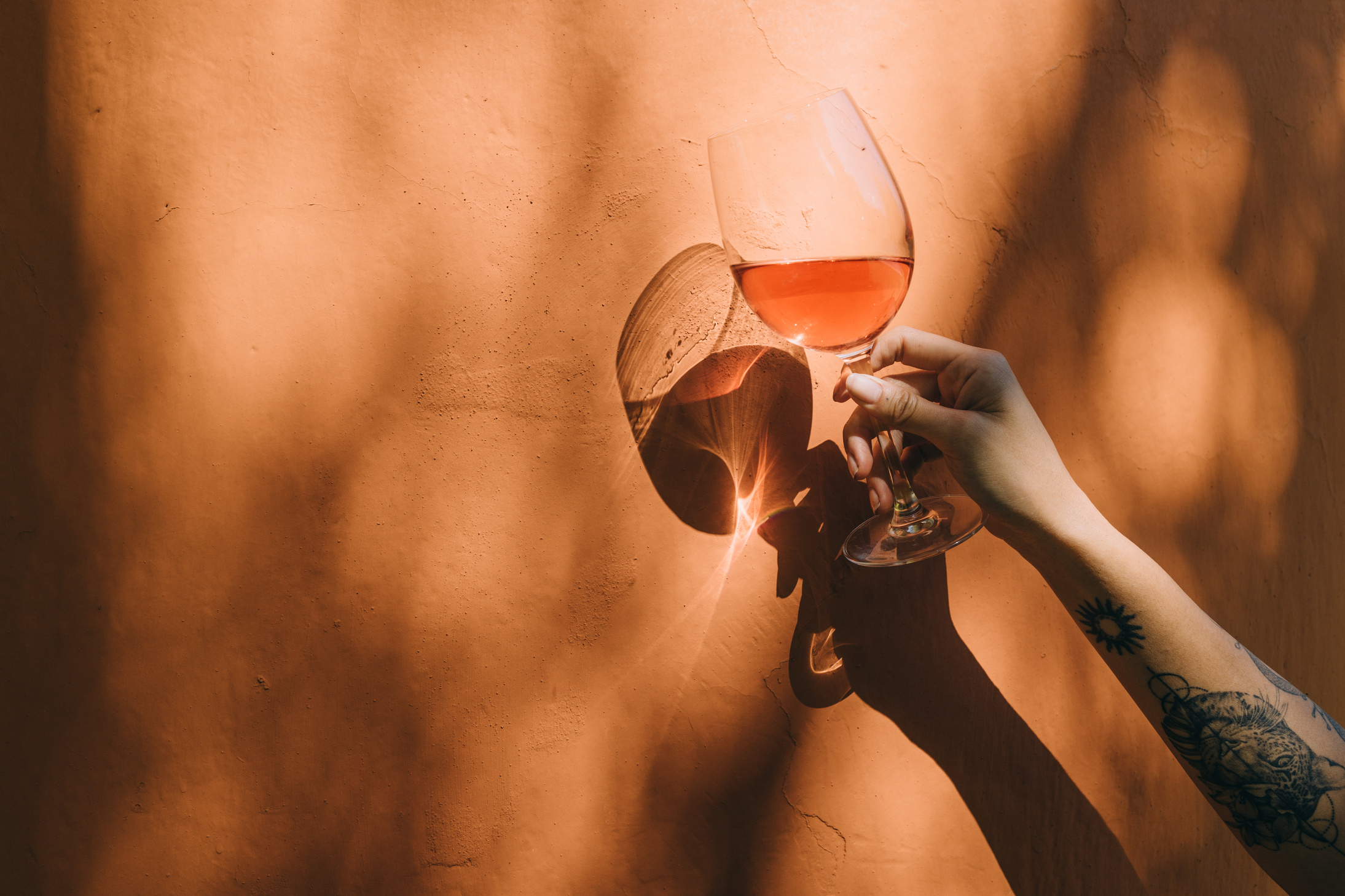 Person's Hand Holding a Glass of Wine against the Wall